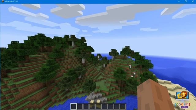 #Minecraft для 5-6 лет Урок 1.1 Пазлы. #Codim.online школа программирования для детей