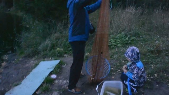 кастинговая сеть - ловим карасяндриков и отпускаем в городской пруд смотреть онлайн