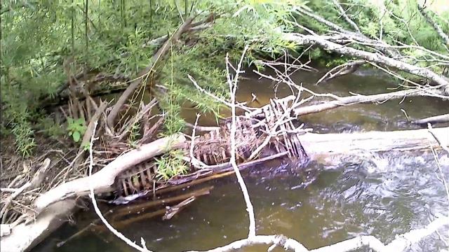 С Женой хорошо, а на Рыбалке...Переобулся в воде. смотреть онлайн