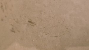 Шоколадное мороженое с шоколадной крошкой.