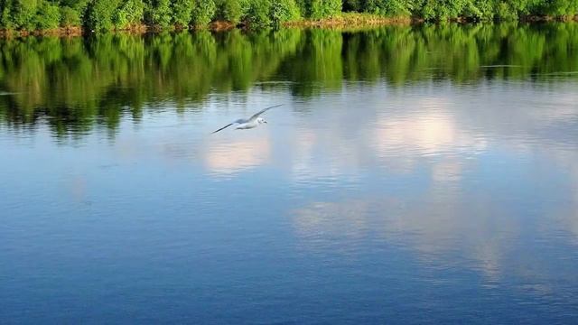 Говори так и успокоишься. Игумен Никон(Воробьев). смотреть онлайн