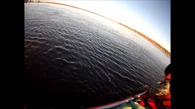 Рaздача камбалы Порт Экономия смотреть онлайн