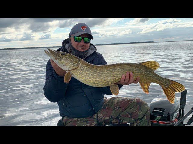 Огромная щука на ультралайт. смотреть онлайн