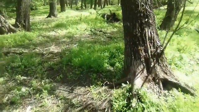 Охота с пневматикой мр512, можно ли добыть утку на стоке?! смотреть онлайн