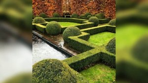 Топиарное искусство в ландшафтном дизайне: скульптуры из растений. 100+ ИДЕЙ.