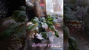 С добрым утром ЯНВАРЯ!