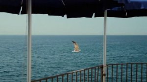 Иосиф Гамрекели — «Когда-нибудь»