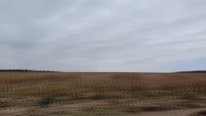 Путешествие на 50 кубовом скутере хонда леад проехал 100 км.