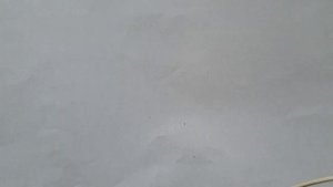 Разбор реле РС502