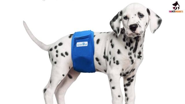 ✅Best dog diapers for males in 2023 смотреть онлайн
