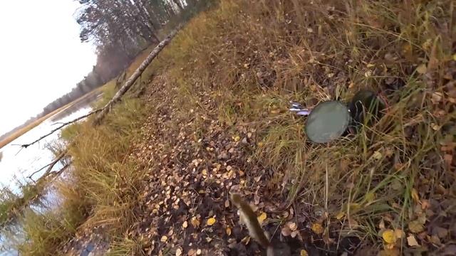 ЛОВЛЯ ЩУКИ НА ПОПЛАВОК. ЖИВЦА. И РАДИОУПРАВЛЯЕМЫЙ КАТЕР. ТАКОЙ РЫБАЛКИ ВЫ ЕЩЁ НЕ ВИДЕЛИ!