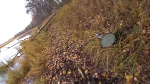 ЛОВЛЯ ЩУКИ НА ПОПЛАВОК. ЖИВЦА. И РАДИОУПРАВЛЯЕМЫЙ КАТЕР. ТАКОЙ РЫБАЛКИ ВЫ ЕЩЁ НЕ ВИДЕЛИ!