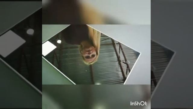 Зеркальные панели #FunderMax смотреть онлайн