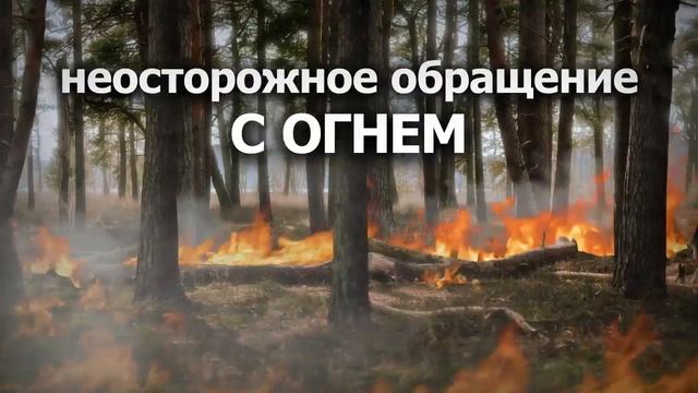 8 Причины природных пожаров смотреть онлайн