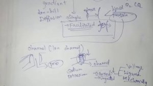 Cell transport | Sukumiii | Tamil | Medical concepts | Diffusion