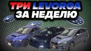 Стоимость Subaru Levorg GT-S, STI в кузове VM4 с аукционов Японии.