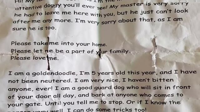 The Note On The Dog's Neck Made Him Cry Incredibly Sad Story смотреть онлайн