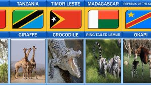 National Animals From Different Countries | National Animals of All Countries