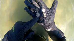 НАХОДОК МОРЕ ПОДВОДНЫЙ КОП В ВЕТРЕНУЮ ПОГОДУ