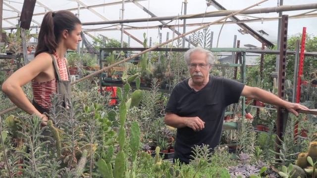 Cacti Care Tips — Plant One On Me — Ep 032