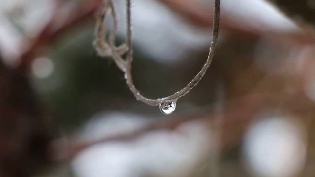 Canon 70D 18-135 Kit смотреть онлайн