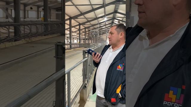 Строительство родильного отделения молочно товарной фермы в селе Нижнее Асаново