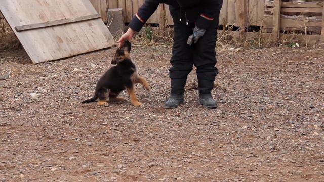 MVI 6965 смотреть онлайн