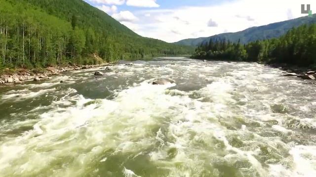 Жилкомсервис №3. Откровения дворников. смотреть онлайн