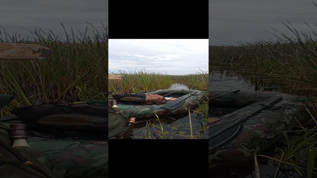 Охота на утку, Скоро)) смотреть онлайн