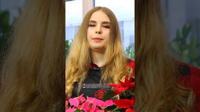 Пуансеттия уход в домашних условиях смотреть онлайн