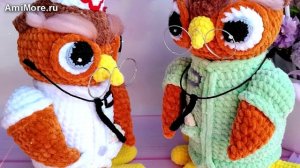 Амигуруми: схема Сова Доктор | Игрушки вязаные крючком