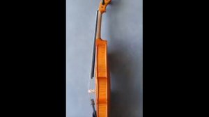 CS2-47 Violin by B Gammon
