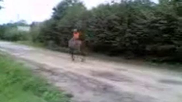 скорасть на лошади 100 км/ч смотреть онлайн