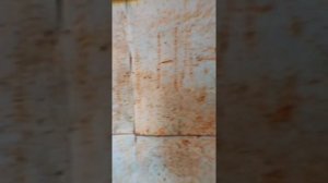 ДЕТСКИЙ ЗАБРОШЕННЫЙ ЛАГЕРЬ В ОМСКЕ// ДОЛ «Искорка» и ДОЛ имени Козицкого// Уникальные находки