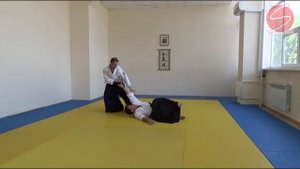 "Обмен опытом" - тенчи наге. Витухин Дмитрий 3 дан Айкидо Айкикай.