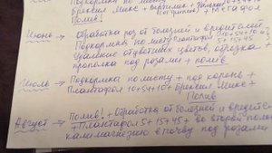 План обработки роз от болезней и вредителей на 2021 год. Розы в саду!