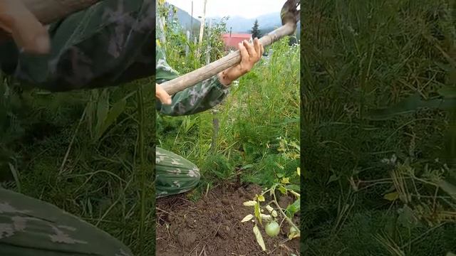 Нужный инструмент для огорода и сада. смотреть онлайн