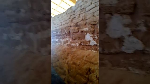 6. Ханаанские ворота.Национальный парк Ашкелон. смотреть онлайн