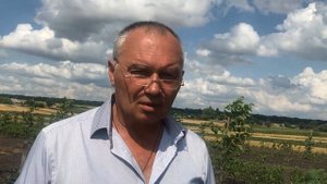 Саженцы фундука Каталонский, Барселонский, Tonda di Giffoni.  Европейские сорта