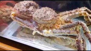 Такого ты ещё не видел! Огромный Камчатский краб линяет в аквариуме ресторана у всех на глазах.
