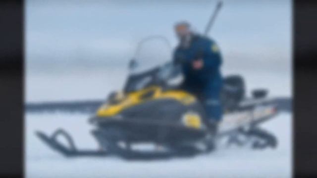 Дикий северный олень смотреть онлайн