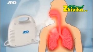 Ингалятор 'Эй энд Ди' для здоровья всей семьи
