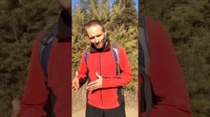 Джатри йога