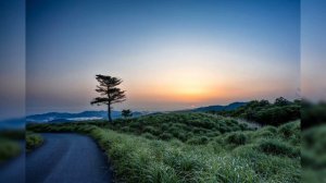 Я НА ЖИЗНЬ РАССЧИТЫВАТЬ НЕ В ПРАВЕ. Сборник "Песнь возрождения"