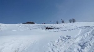 Муравей палочник 19.03.2017