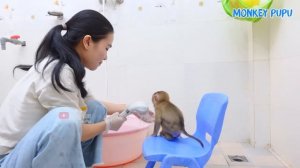 Monkey Pupu takes off his diaper and pee in the garden