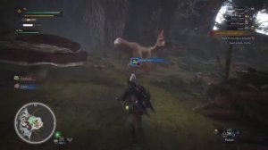 Monster Hunter: World Walkthrough - Assigned Quests: Bird-Brained Bandit