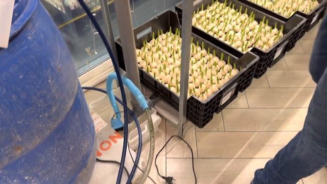 Система дренажа из сантеха и профилей своими руками? смотреть онлайн