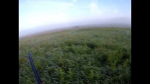 Охота на болотно-луговую дичь. Коростель - Бегущий профессор.