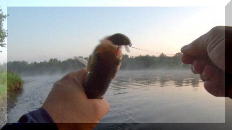 Голавль на воблер Iam Master Trigger SR. или Здорово лобастый! Соскучились без меня! смотреть онлайн